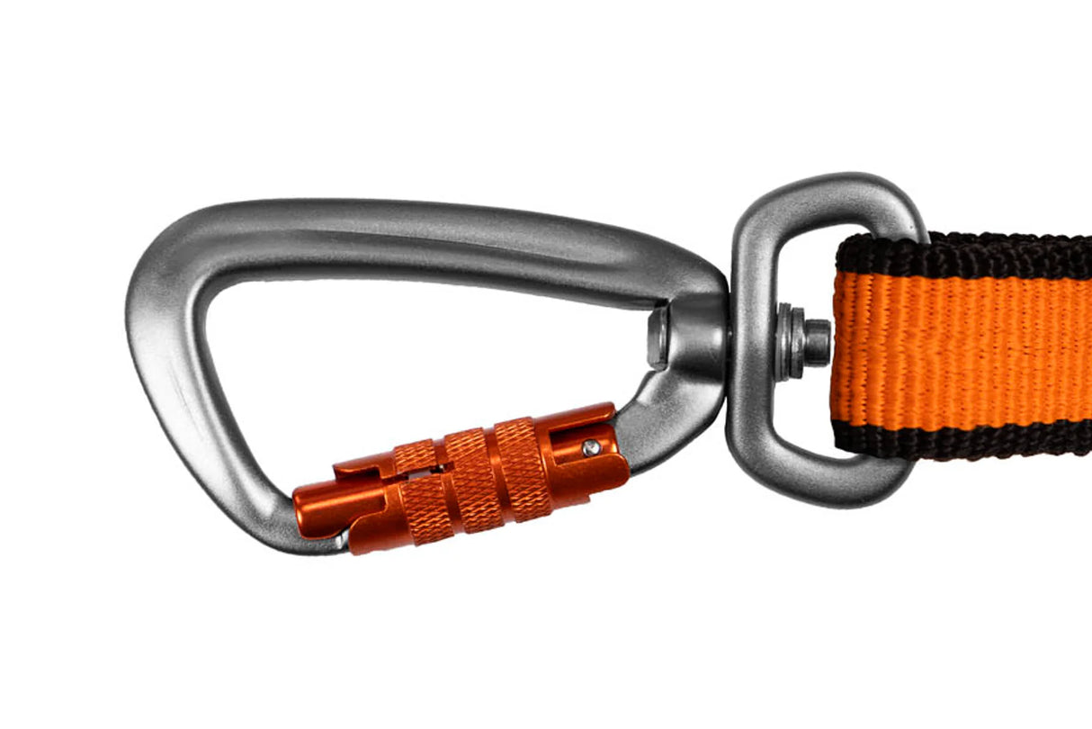Non-stop dogwear Bungee leash