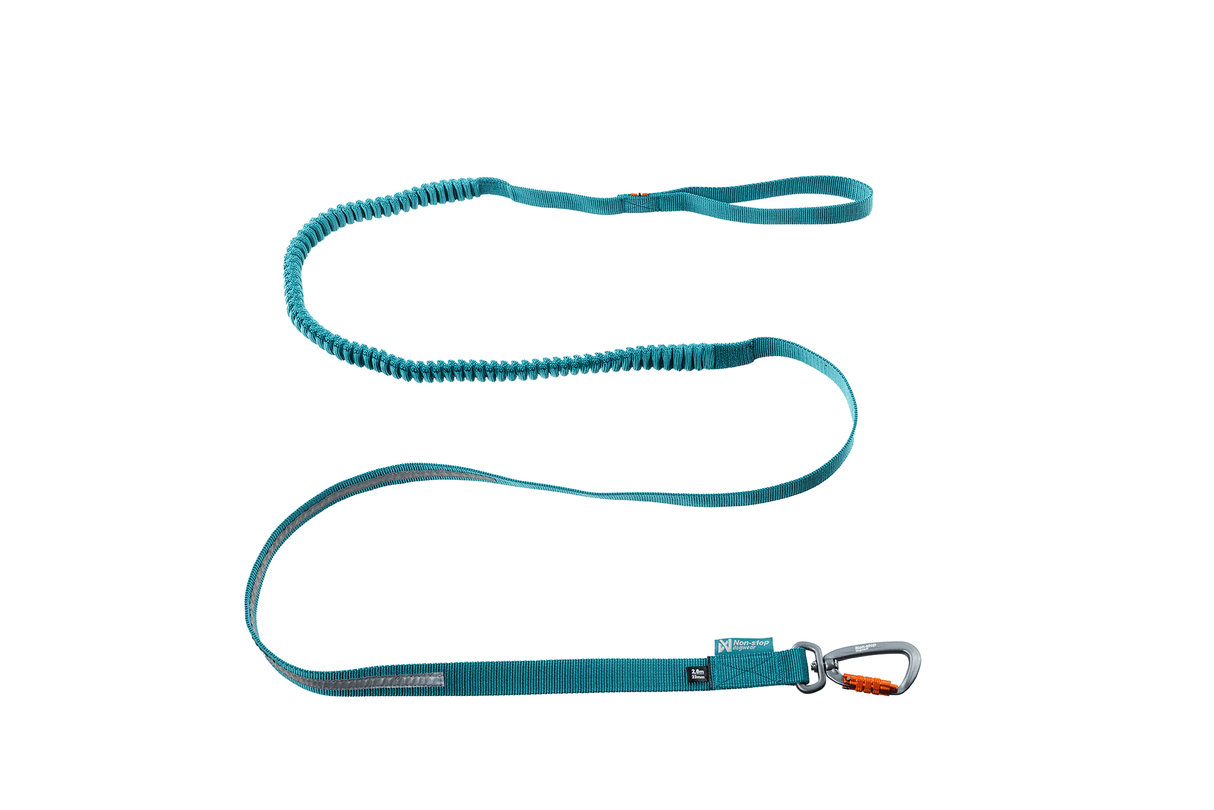 Non - stop dogwear Touring bungee leash, 2m/23mm, Teal, - Polku Cycle Store