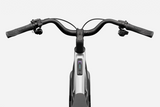 Cannondale FlyingV 1