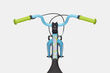Cannondale Kids Trail 20