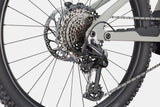 CannondaleMoterraLT1TigerShark-5