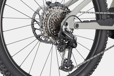 CannondaleMoterraLT1TigerShark-5