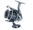 Daiwa 20 Exceler LT3000 - C, , , - Polku Cycle Store