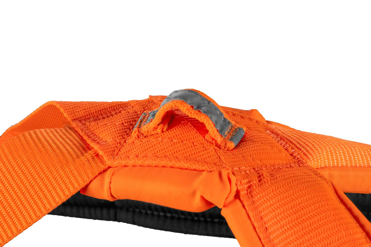 Non - stop dogwear Freemotion harness 5.0, 5, , - Polku Cycle Store