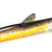 Orka Small Fish 10cm 4kpl, PJFBO, , - Polku Cycle Store