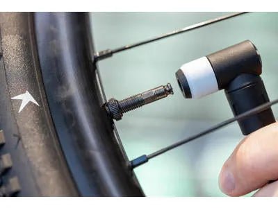 Schwalbe Clik Valve Core Kit, , , - Polku Cycle Store