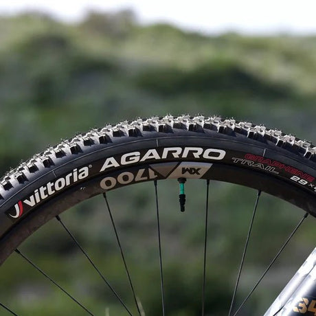 Vittoria Agarro Trail, 27.5", 65 - 584, - Polku Cycle Store