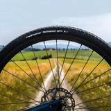 Vittoria Terreno Dry 2C, 28", 37 - 622, - Polku Cycle Store